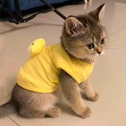 Cat Clothes Autumn Vest Kitten Puppy Vest Ragdoll British Shorthair Pet Kitten Puppy Autumn and Winter Warm Clothing