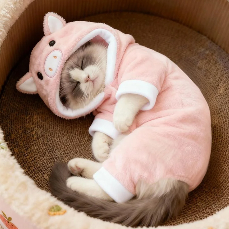 Cat Clothes for Autumn and Winter, Cute Pig Costume, Golden Gradient Ragdoll Kitten, Pet Dog, Warm and Anti-Shedding