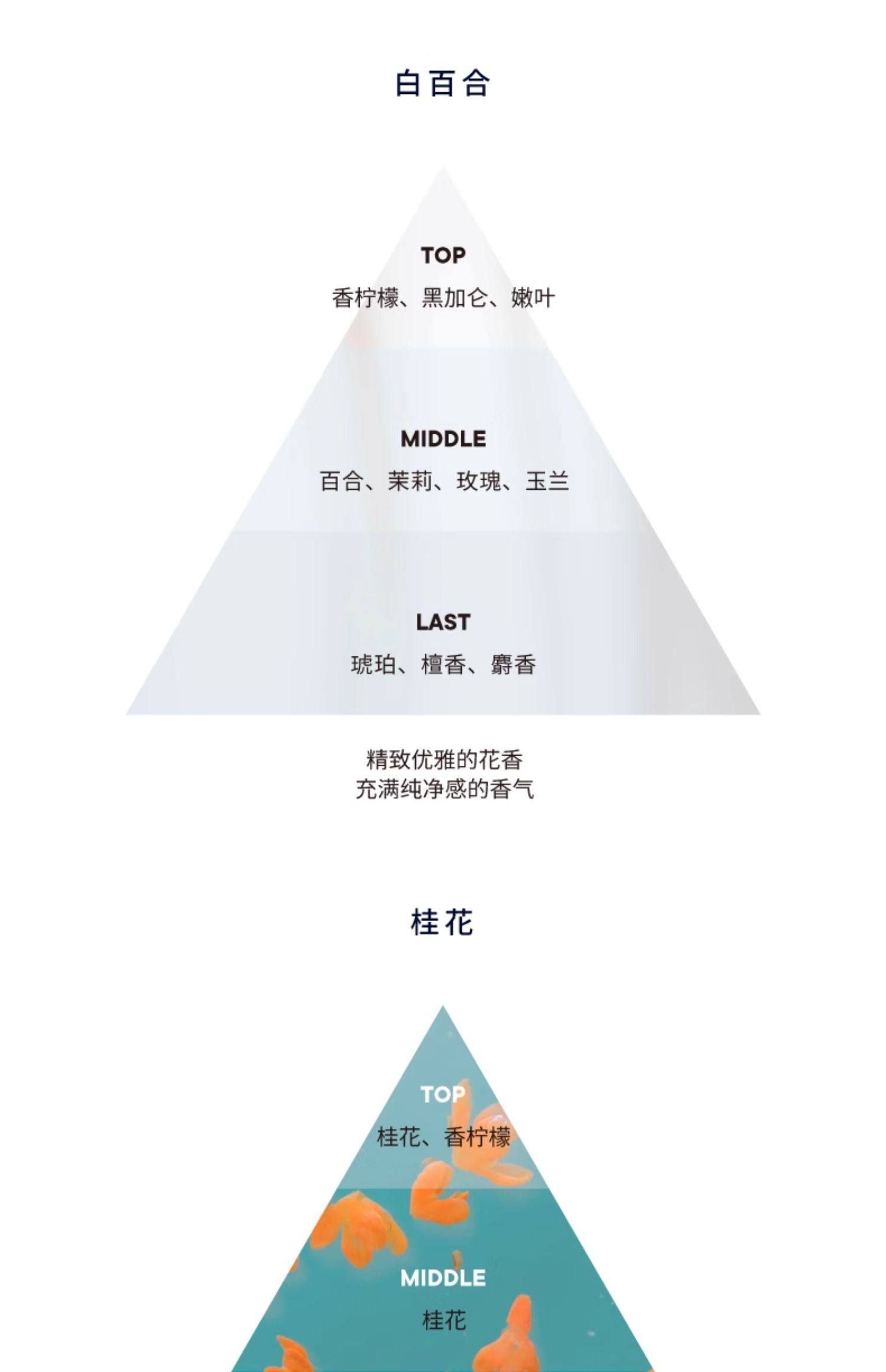 【日本直邮】SHIRO 新款伯爵红茶 护手霜/护手精华 55g