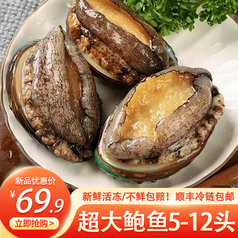 Fresh Big Balfish Fresh frozen large abalone sea catcher superb abalone fresh seafood abalone seafood Shunfeng-Taobao