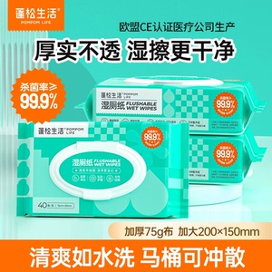 【蓬松生活】经典款湿厕纸5包家庭实惠装