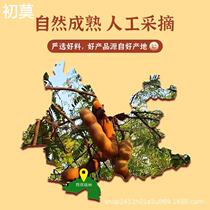 Acid Corner Yunnan Specie Produce Fresh Big Acid Sweet Bean Corner Pregnant Woman Sugar Acid Corner Fruit Pastry Roosin for leisure Little Season Food Manufacturer