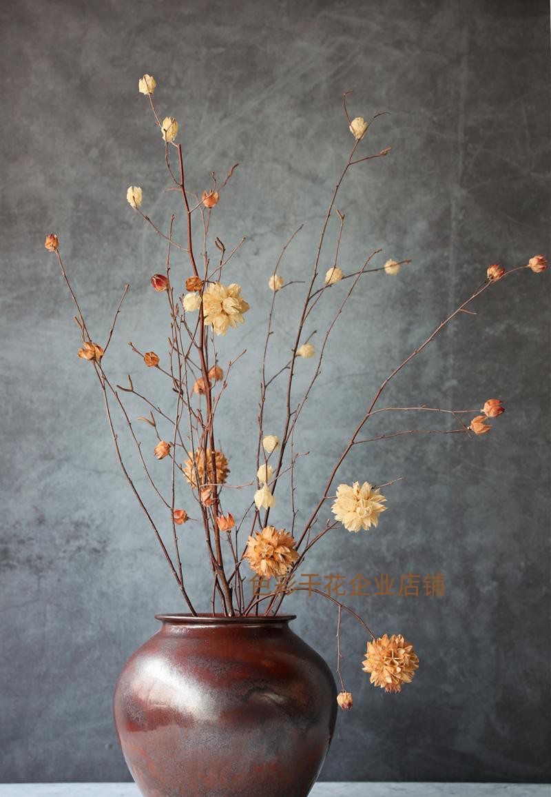 Living room Xuanguan decorative dry flower dry branch natural withered branches modern European style Chinese style high ground vase flower arrangement-Taobao