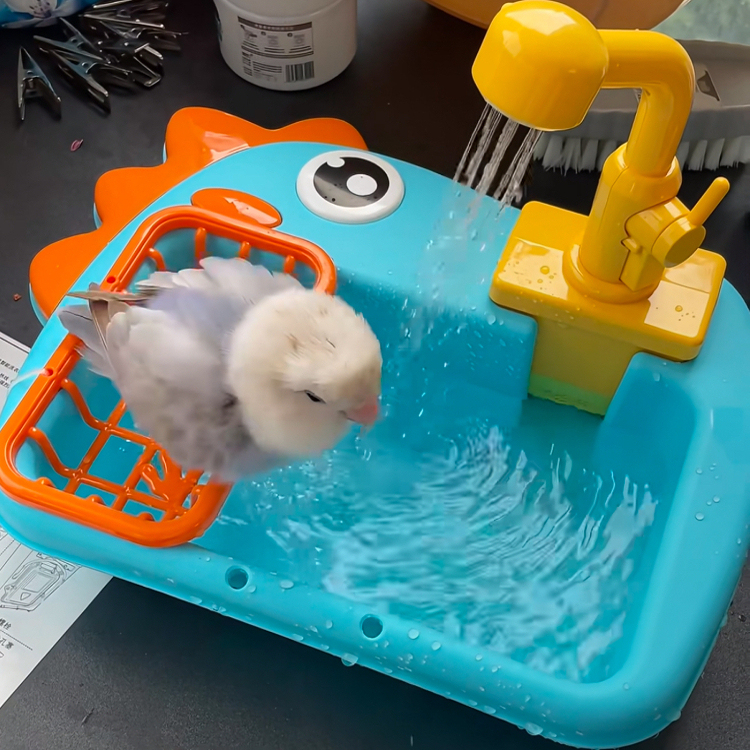 [Summer Parrot Happiness Guide] High-Quality Bird Pet Self-Bathing Tub Bathtub for Birds - a Bathing Gadget for Birds