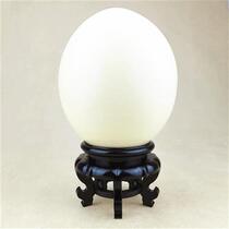 Ostrich Eggshell Base Œufs Carving Handicraft Base spéciale Bas Toting Bracket Egg Shelf Egg Carving Emu Hump Tray