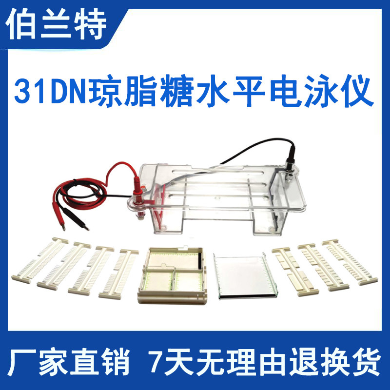 伯兰特琼脂糖水平电泳槽核酸31DN通用电泳仪凝胶板加样梳子制胶器