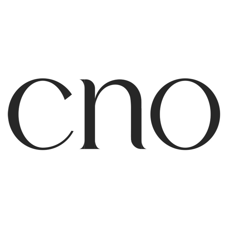 cno旗舰店的LOGO