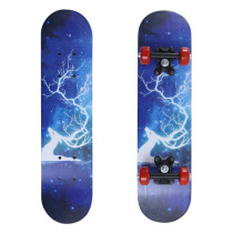 Creative four-wheel skateboard for beginners double rocker youth professional scooter childrens scooter