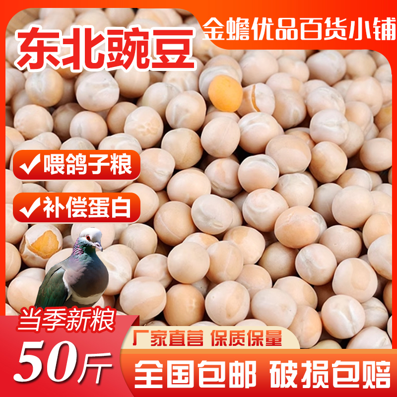 White Peas 10 Pounds 10kg High Protein Pigeon Feed Pigeon Material White Peas Yellow Peas High Quality Pea Pigeon Fresh