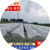 Transparent plastic film plastic cloth small arch shed film greenhouse film mulch film agricultural cold protection heat preservation vegetable planting wind protection