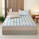 New cartoon Class A Cool Mats and Bed Sheets Three-Piece Set Student Door Soft Seat Summer Ice Silk Mats Machine Washable Single and Double People