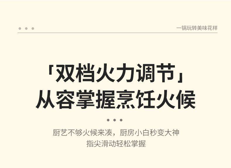 Плиты 德国电炒锅一体炒菜多功能电煮锅全能家用大功率煎炒蒸煮电热火锅 OTHER