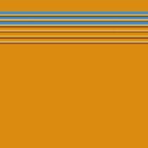 Steps PVC stair paste wear-resistant self-stair stair slab step non-slip mat step kindergarten mat thickened