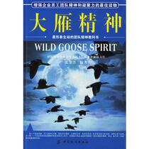 Spirit of Wild Goose Zhang Jinyang China Textile Publishing House 9787506439442