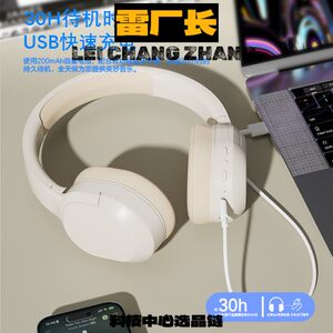 入耳式蓝牙耳机头戴式耳机真主动降噪超长续航高无线蓝牙耳机