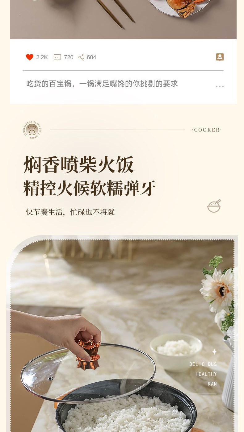 Плиты 德国全自动一体电饭煲智能电煮锅蒸煎炒不粘电热火锅多功能电炒锅 Other home