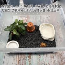 Corner Frog Rearing Suit with lid Scape Frog Clay Simulation Environment Clean Pet Little Frog Rearing Box