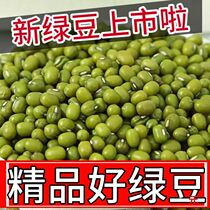 New mung bean wholesale 5 pounds special price raw mung bean sprouts special honey bean whole grain porridge to relieve summer heat 50g