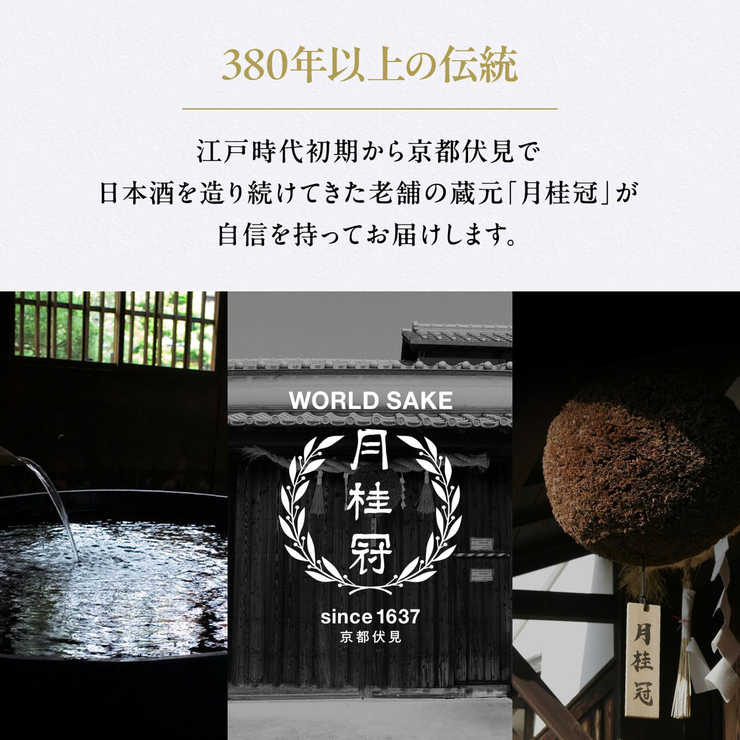 2026年女士微醺气泡清酒怎么选？纯米大吟酿果香甘口才是真入门