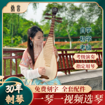 Rosewood pipa beginner entry level professional pipa red sandalwood rosewood hardwood pipa professional high-end