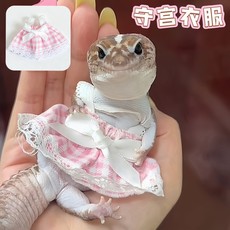 Chameleon Clothes, Reptile Pet Supplies, Outdoor Transformation Outfit, Small Reptile Pet Clothing, Adorable Accessory, Little Dress