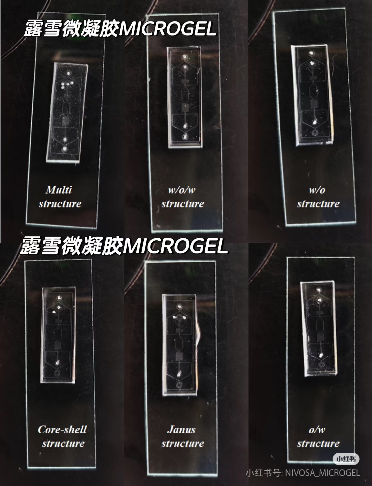 不同 水凝胶微球 生产的多功能 微流控 芯片