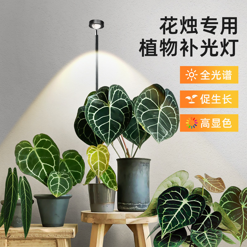 花烛专用植物补光灯全光谱仿太阳家用多肉上色室内落地热植生长灯