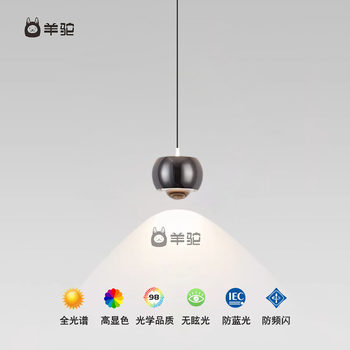 Bedroom Bedside Chandelier, Modern and Simple, Internet-Famous Round Ball Touch-Up and down Lighting, Adjustable Height Bar Counter Pendant Light