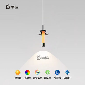 Italian-Style Light Luxury High-End Bedroom Bedside Chandelier, Modern and Simple, Adjustable Height, Foyer, Hallway, Bar Counter Pendant Light