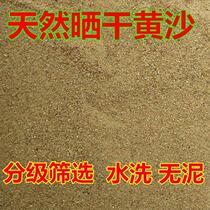 Graded selection of yellow sand natural river sand succulent with soil sand fish tank bottom sand turtle hibernating yellow sand in bulk