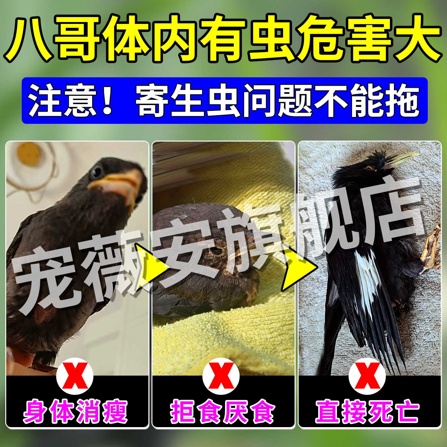 食之有未- 播客- Apple 播客, image size:1440x1440