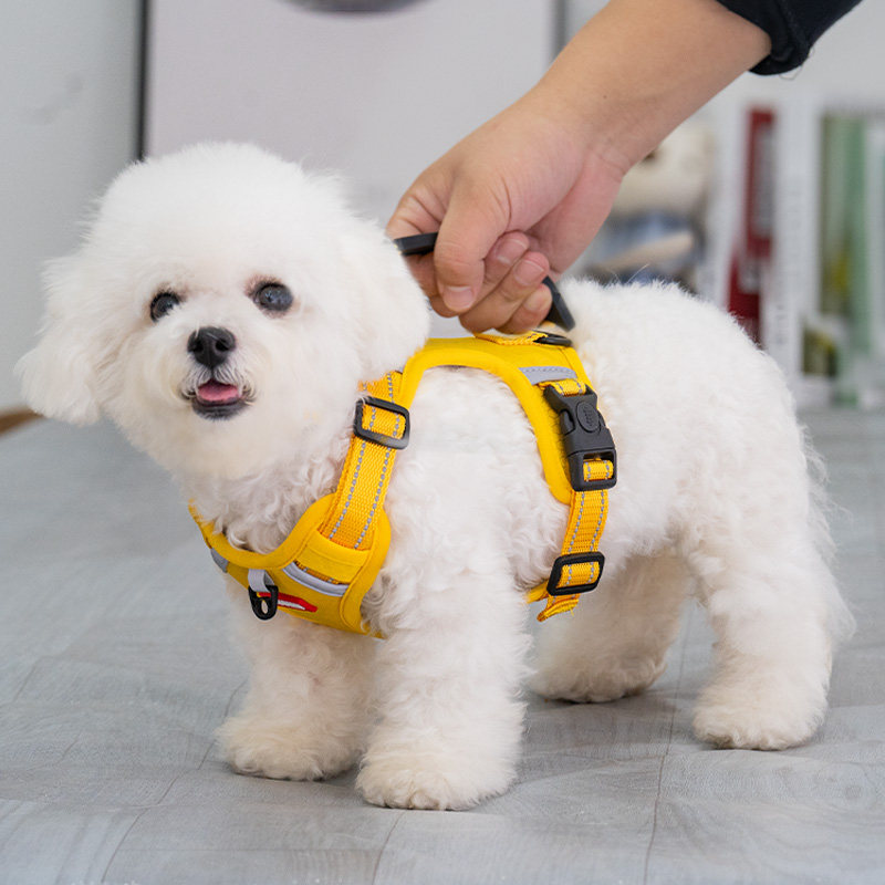 Pet Dog Dog Traction Rope Matchup Dog Teddy Bib Bear Small Dog Vest Type Chest Strap Anti-Out Walking Dog Rope-Taobao