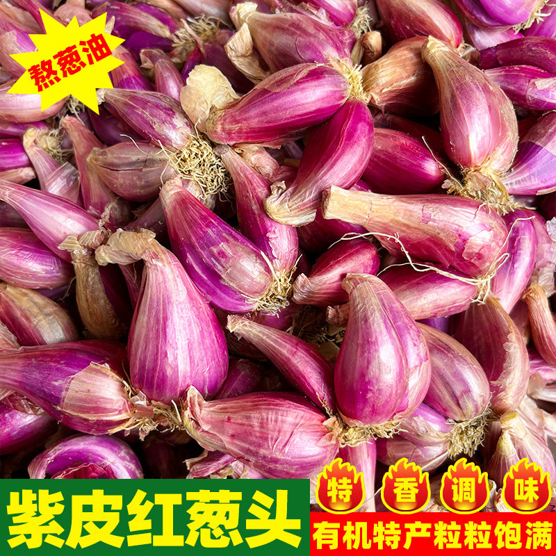红葱的营养价值和食用方法有哪些？🌶️营养小能手-生活-淘宝百科网