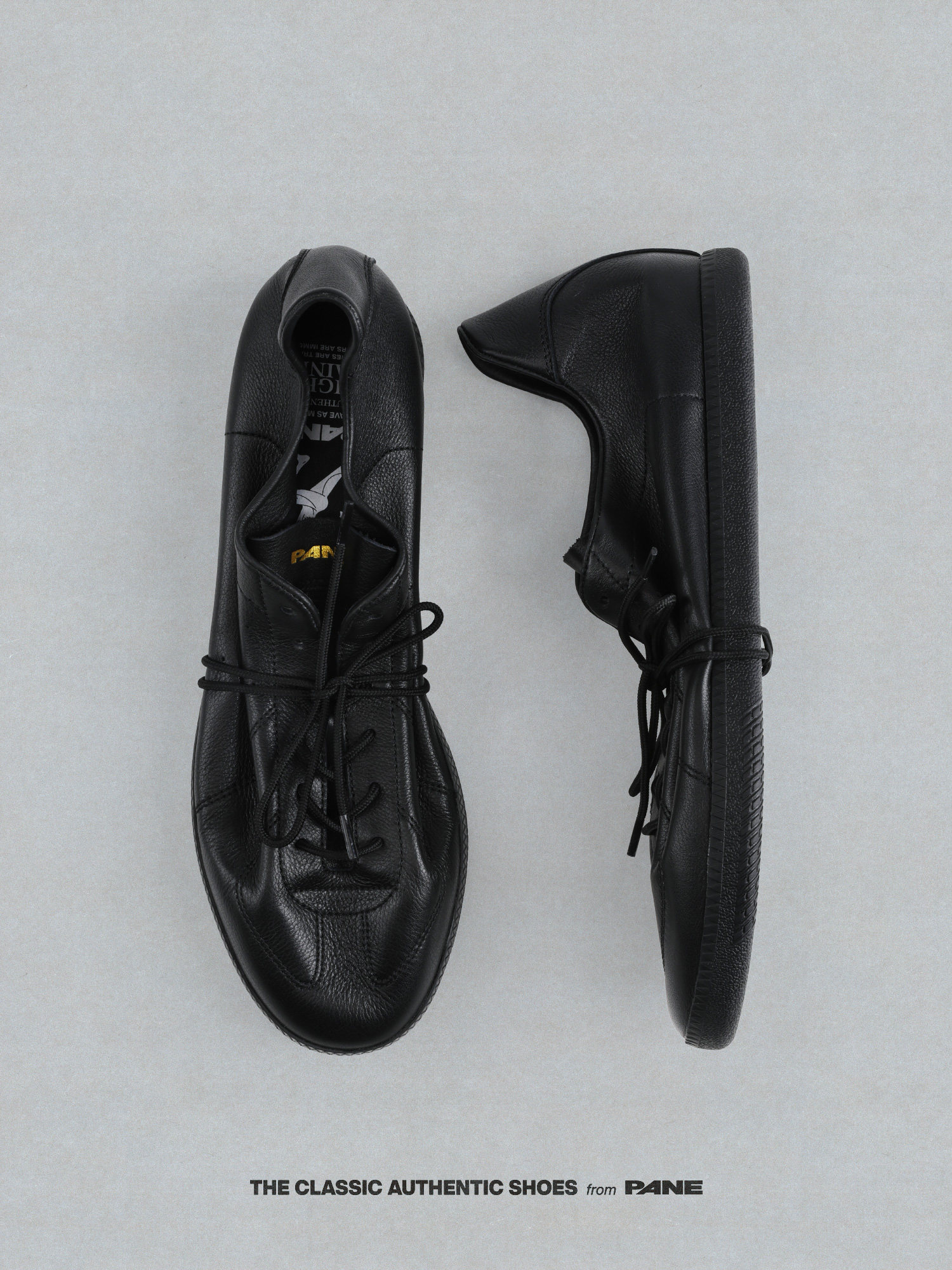 Pane light training no-gi series mystique mysterious visitor black 