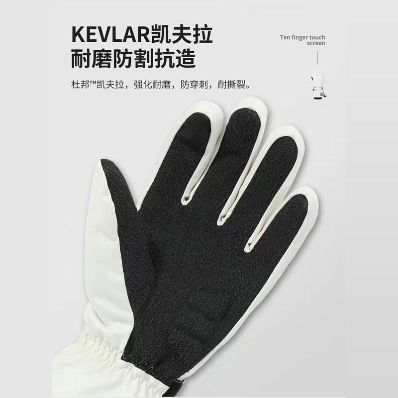 Kevlar Professional Ski Gloves with Built-In Wrist Guards, Warm Gloves for Men and Women, Winter Cycling, Snow Mountain, Waterproof, Touch Screen