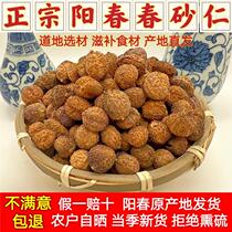 Authentic Chinese herbal medicine Traditional Chinese herbal medicine Invigorated Spleen and Stomach Warm Palace Anpeptide Spring Sarin fresh dry goods 100 gr