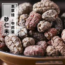 Yunnan wild sand Renmi Chinese herbal medicine 500g selected special grade natural no sulphur Yangchun sand rind to shell and rind