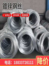 Hot-dip galvanized steel wire No. 16 No. 12 No. 10 agricultural steel wire galvanized anti-rust steel wire greenhouse grape tree scaffolding wire