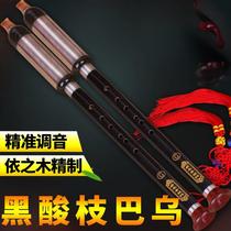 Acid Branches Wood Vertical Blowing Bau F Conditioning G Tuning Glue Wood Blow Mouth Removable Stainless Steel Casing Beginner Bau Musical Instrument Sending Accessories