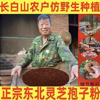 Changbai Mountain Ganoderma spore powder wild special grade official flagship store genuine Ganoderma lucidum robe powder