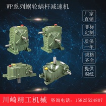 WPA WPS WPO WPX40-250 cast iron worm gear reducer small gearbox