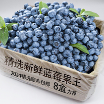 SF Express 8 boxes of selected fresh blueberries and fresh fruits are in stock in season. It is recommended to buy a whole box of large fruits and sweet seasonal fruits.
