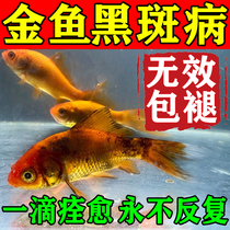 Goldfish black spot Brocade Carp Sick Special Medicine Tail Filling with Rotten Tail White Dot Tail Charged with Golden Fish Rotten Fin