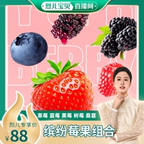 (Lieer Baby Live Room) Colorful berry light snacks healthy strawberries raspberries blueberries blackberries mulberries jelly fresh fruits