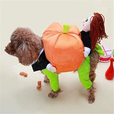 Одежда и аксессуары для собак halloween