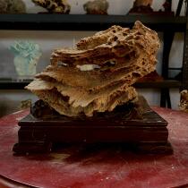 Myanmar Natural Tree Jade Crescent Jade and Jade Fossil Mountain Water Furniture Fixtures Case