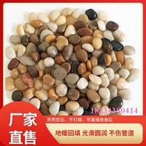 Floor heating Guangdong backfill pisolite washed stone black gravel pebble filter material river beach stone garden paving stone
