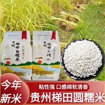 2023 Guizhou terraced round glutinous rice white glutinous rice year farmhouse glutinous rice mature nutritious sweet soft glutinous rice 5 pounds 10 pounds