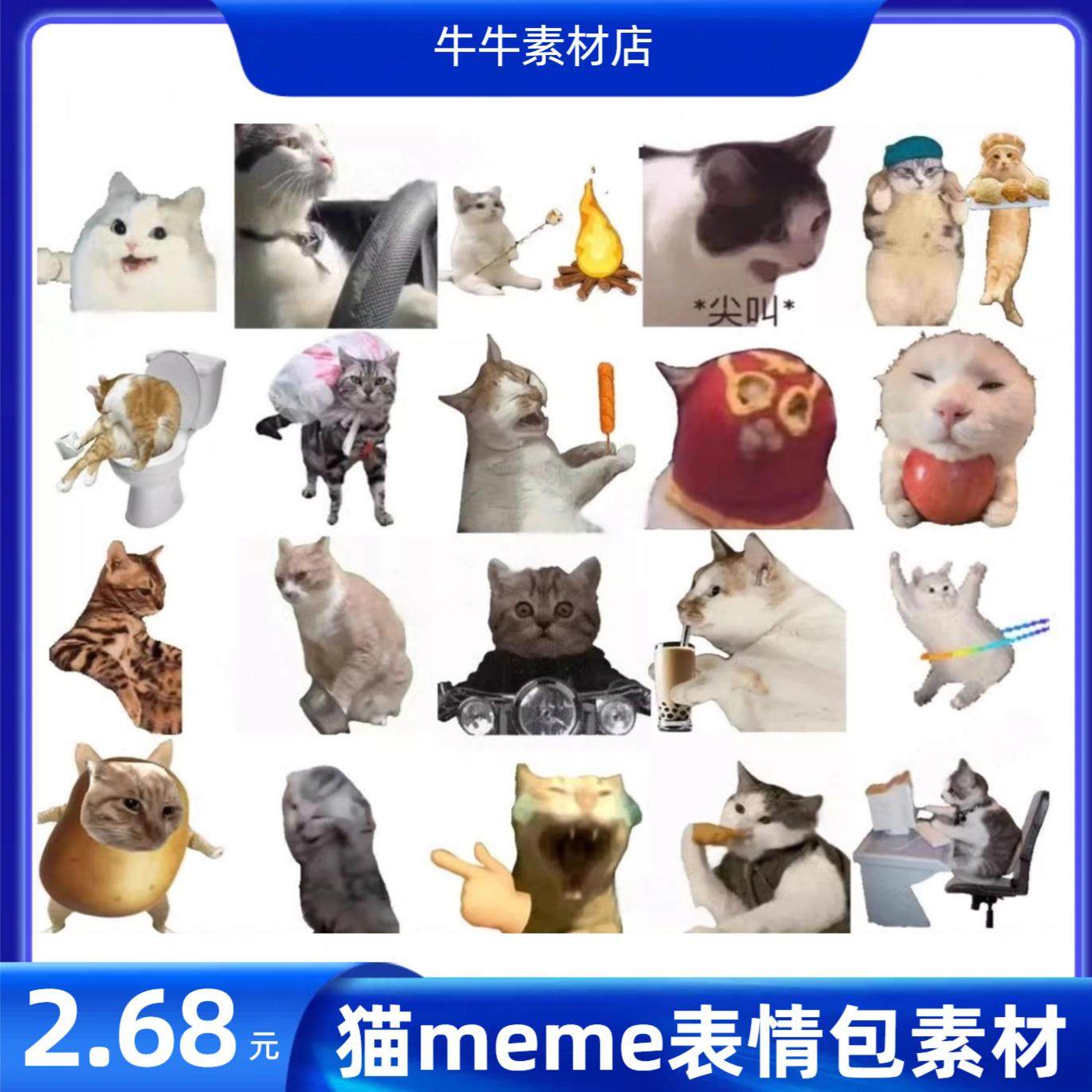 245个神经猫meme表情包，微信群斗图神器！_游戏大全_淘宝游戏网, image size:1371x1371