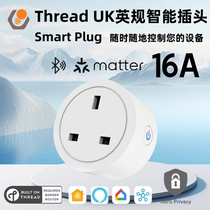 thread smart UK British standard 16A socket plug matter remote control voice switch timing Bluetooth native OTA